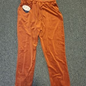 Scoop NYC Soft Velour Active Pants